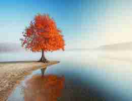 css文​本‍输‌入‍框﻿样‌式‌在‍哪​